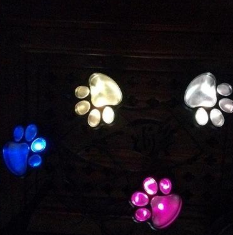 Paw Solar Light